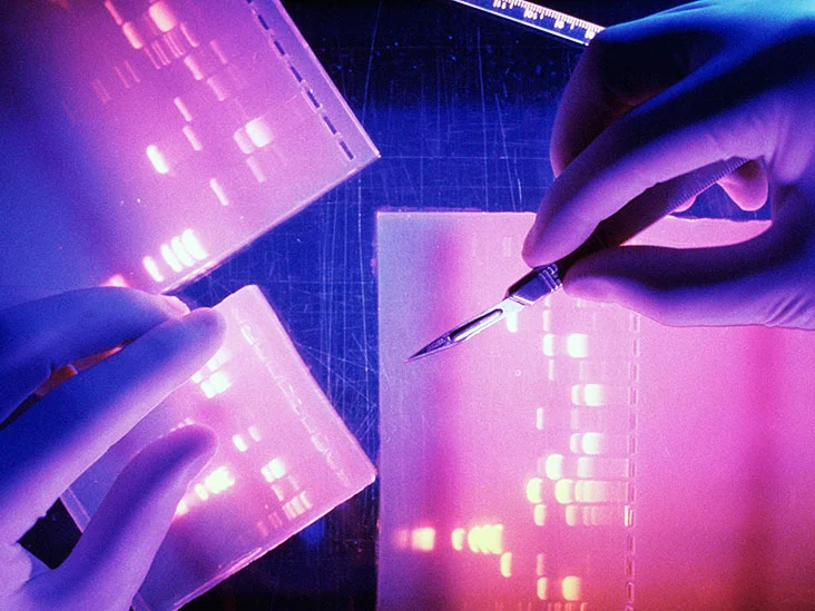 موتاسیون