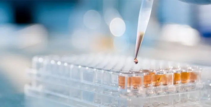 Lupus Anti Coagulant